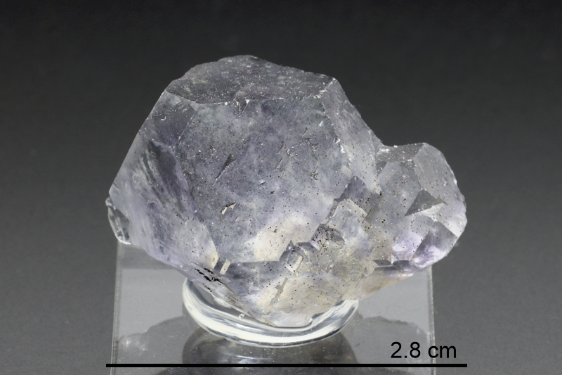 Fluorite (Fujian Prov., China)